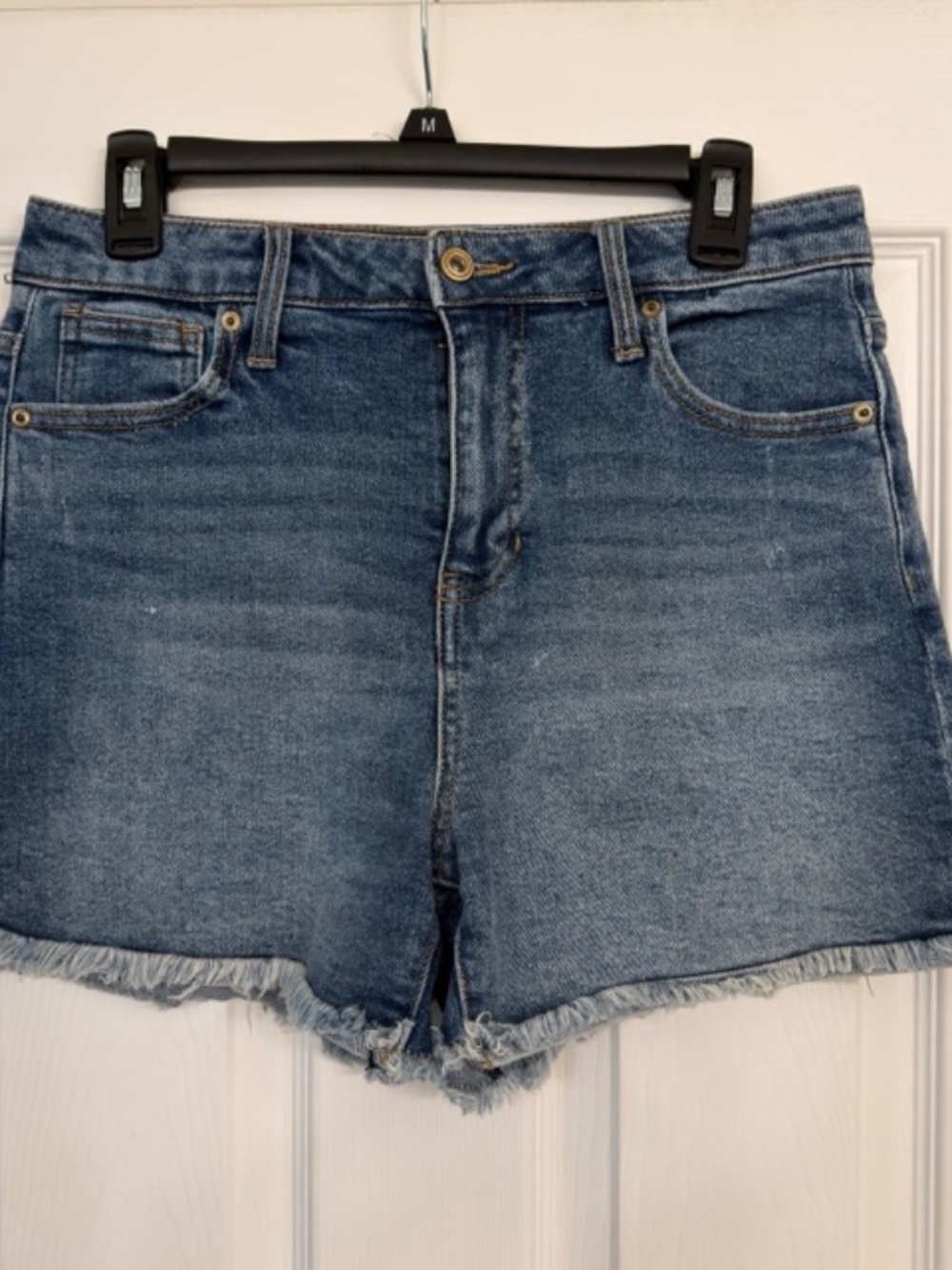 EUC BCBGeneration High Rise Short Size 7/28